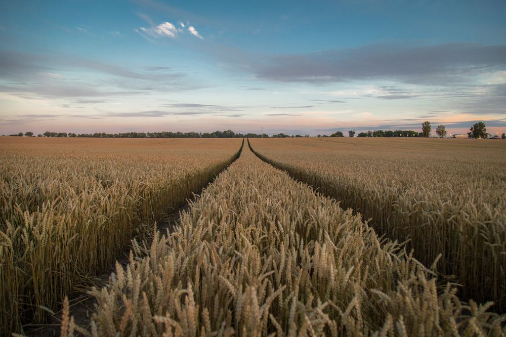 Photograph by Наталья Брюхненко