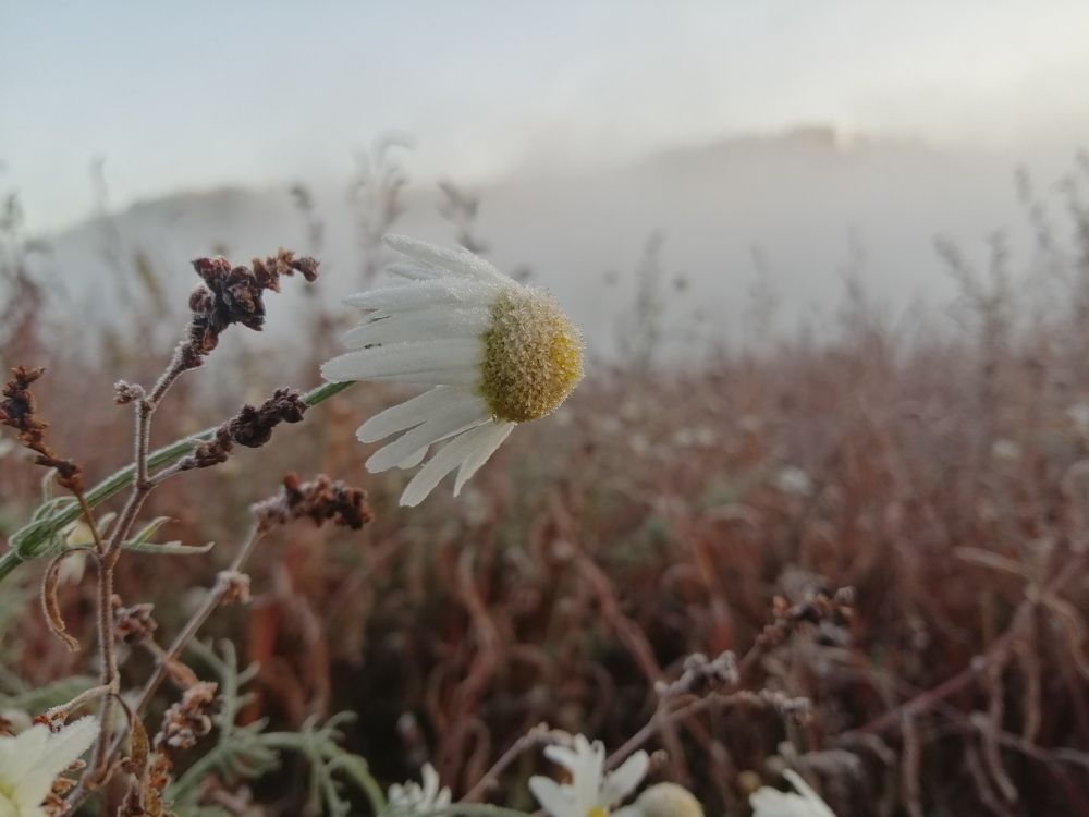 Photograph by Юлия Фирман