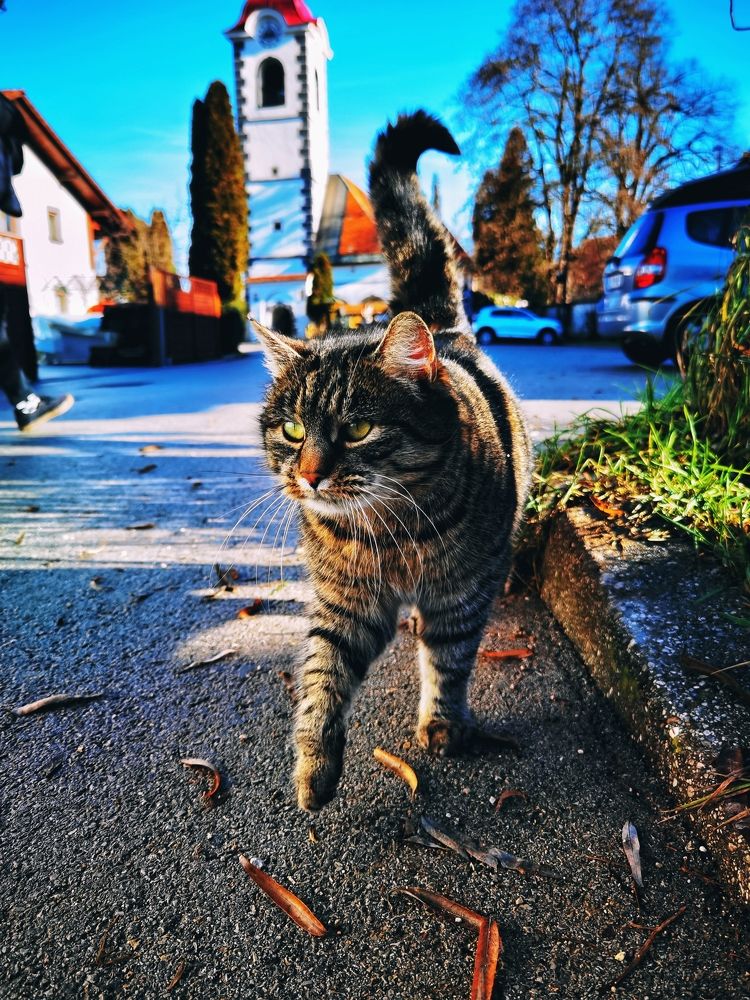 Photograph by Lera Zilbershtein