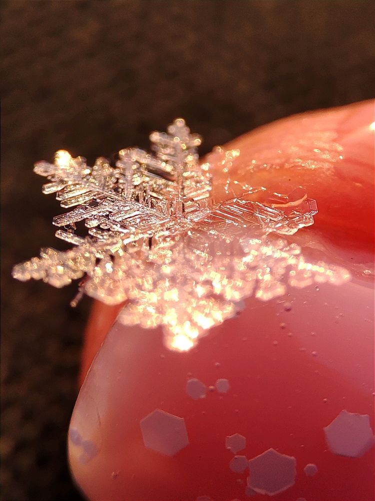 Photograph by Юлия Гинтер