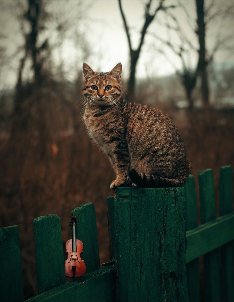 Photograph by Татьяна Исаева