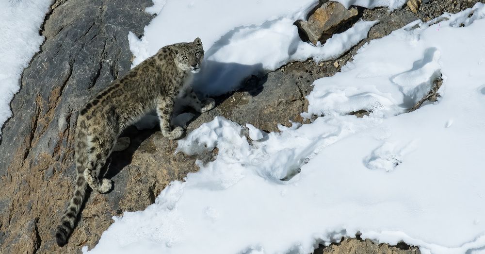 Photograph by Bidyut Saikia