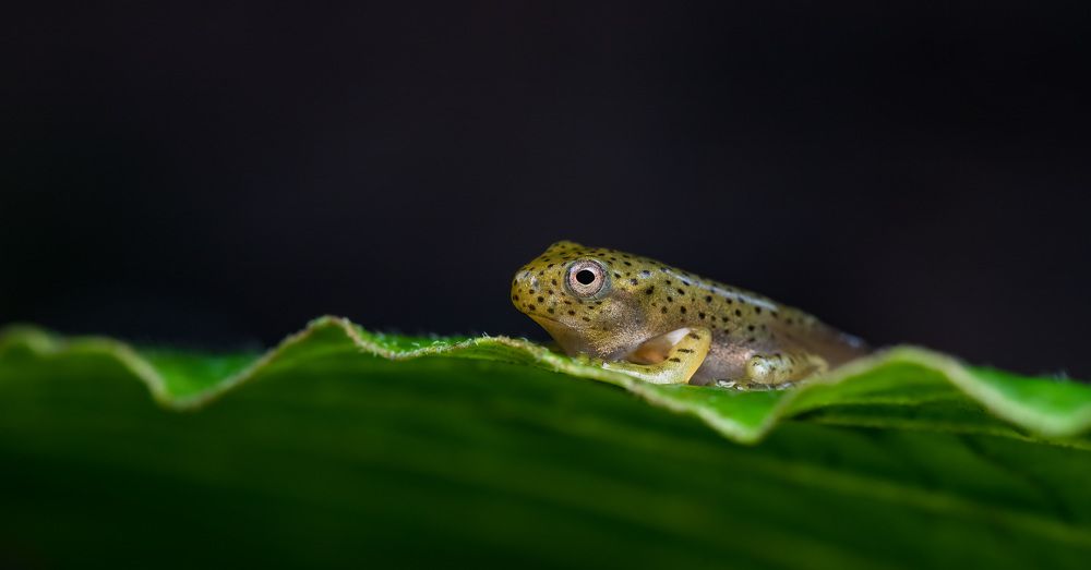 Photograph by Bidyut Saikia