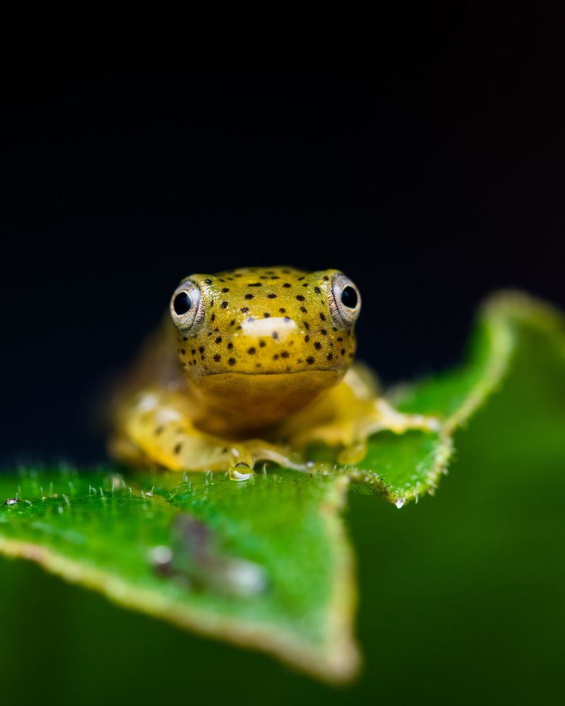 Photograph by Bidyut Saikia