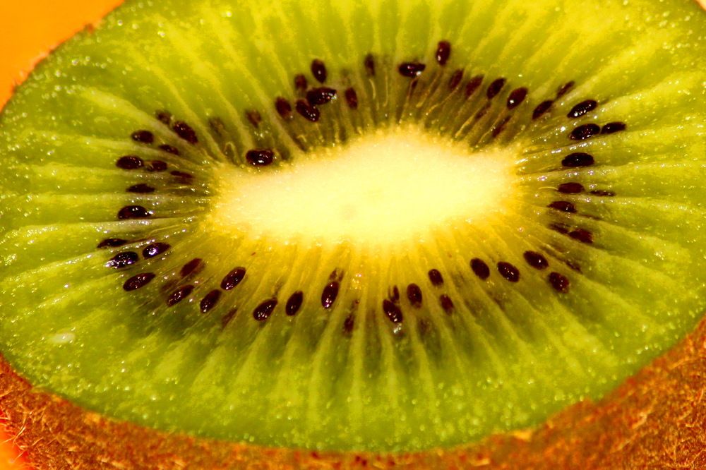 Photograph by Николай Николаевич Леухин