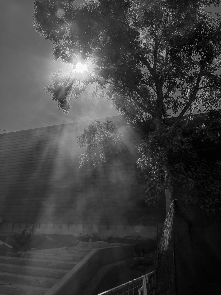 Photograph by Elena Novikova