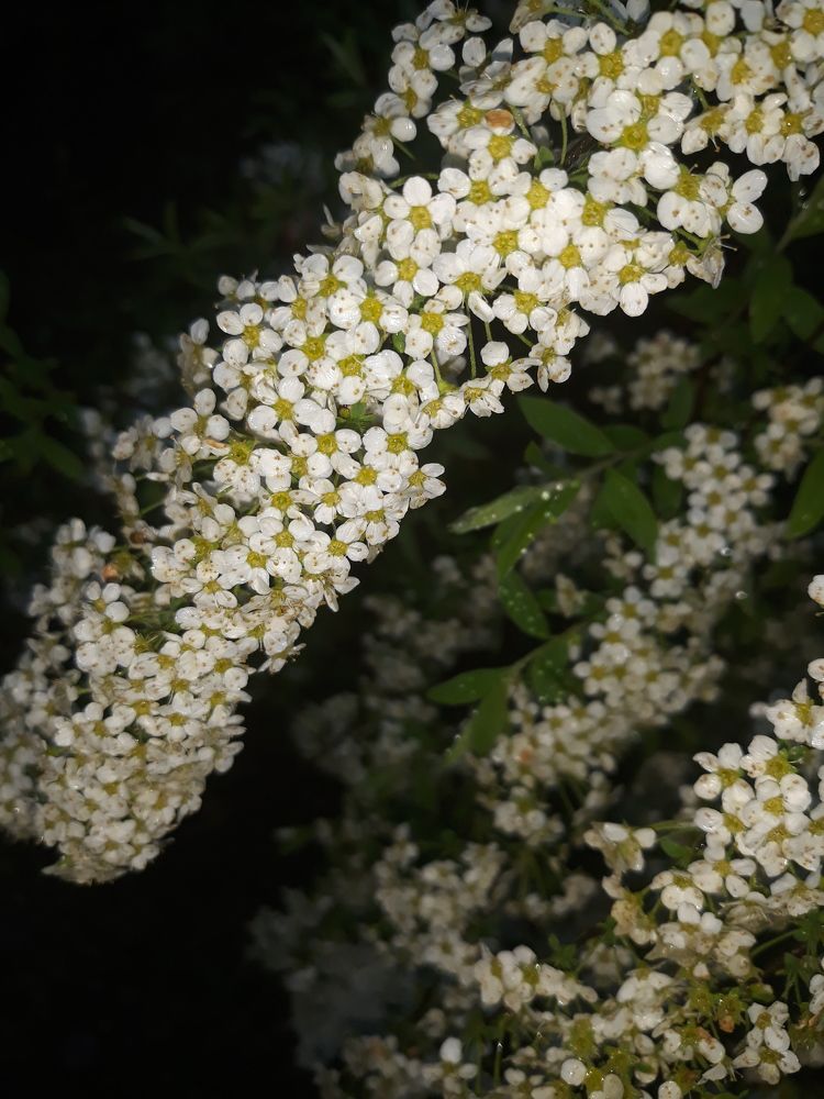 Photograph by Анастасия Макарова