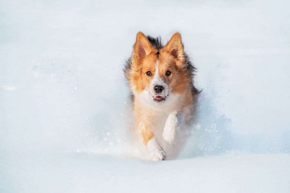 Фотография автора Ольга Кузина