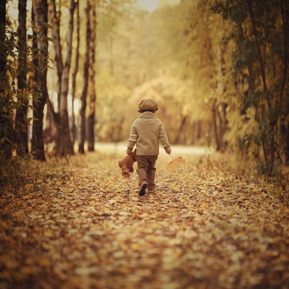 Осень в парке