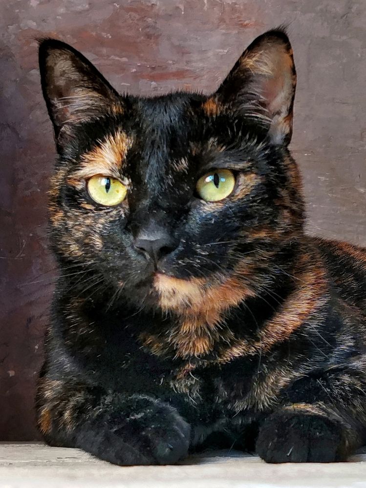 Photograph by Ирина Ветюгова