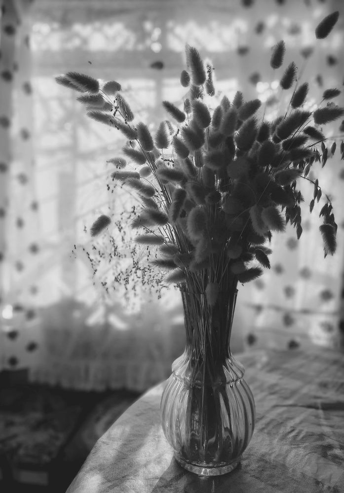 Фотография автора Ольга Кунакова