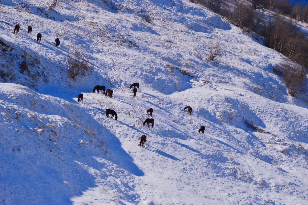 Photograph by Наталья Покрепина