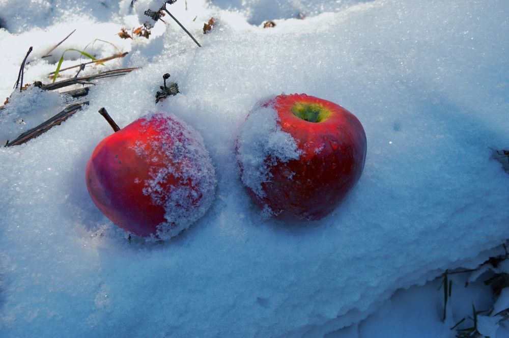 Photograph by Наталья Покрепина