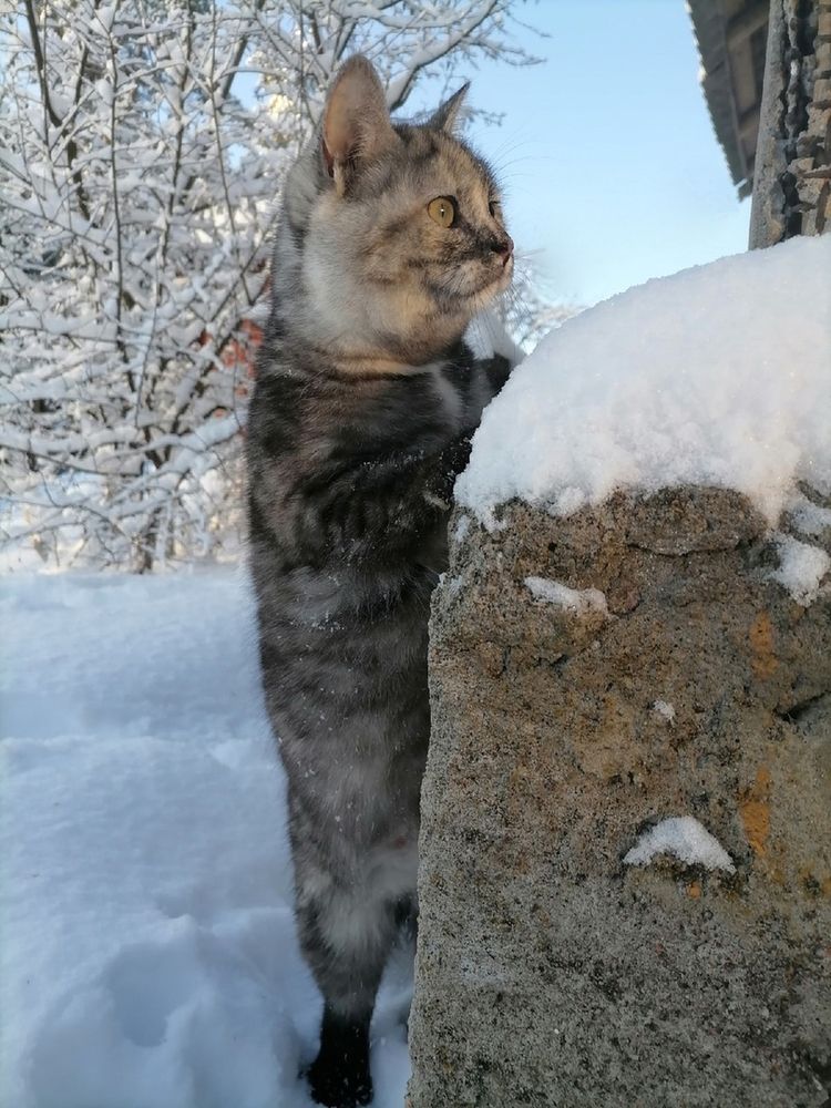 Photograph by Анастасия Лопарева