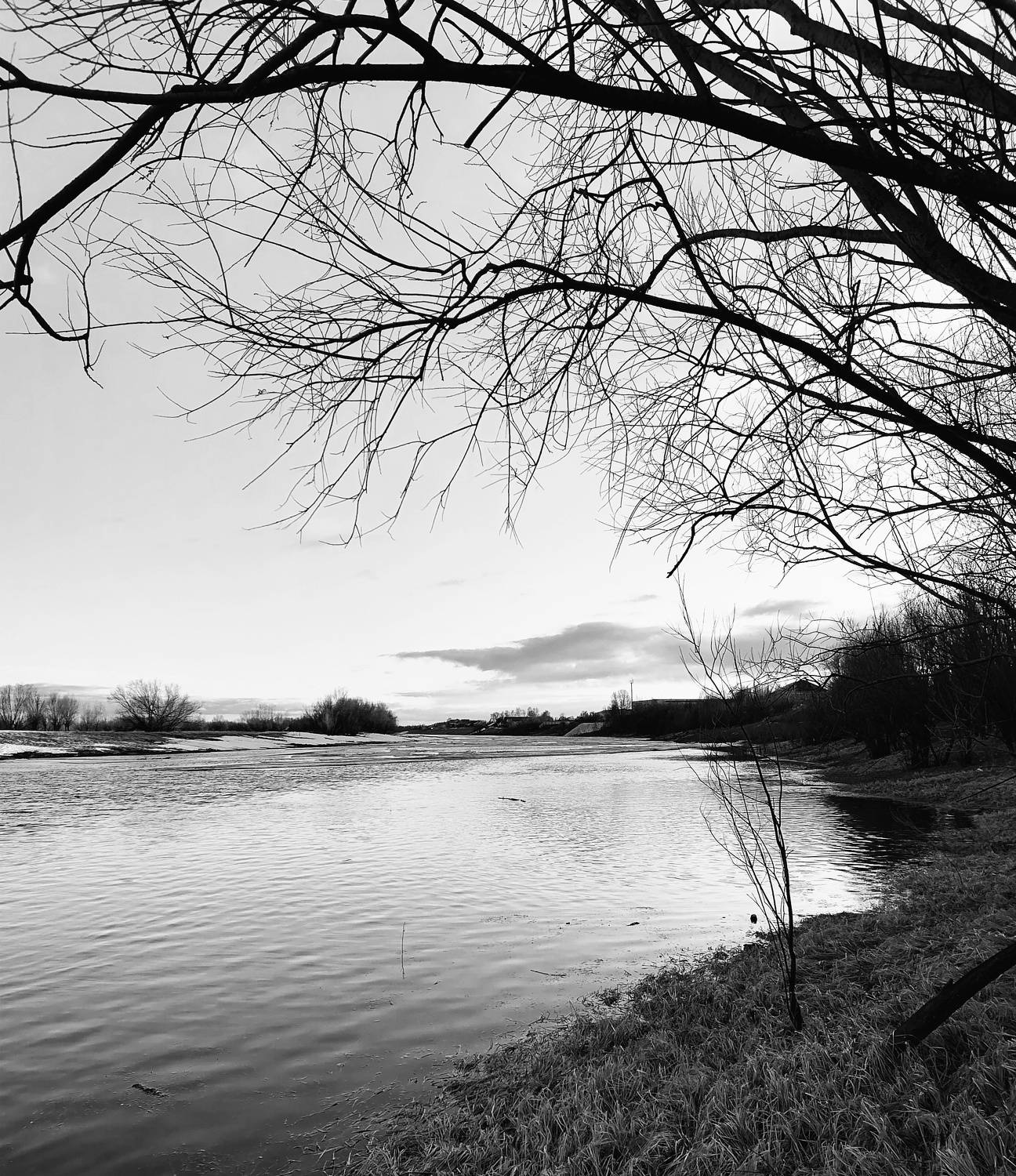Photo #8852227