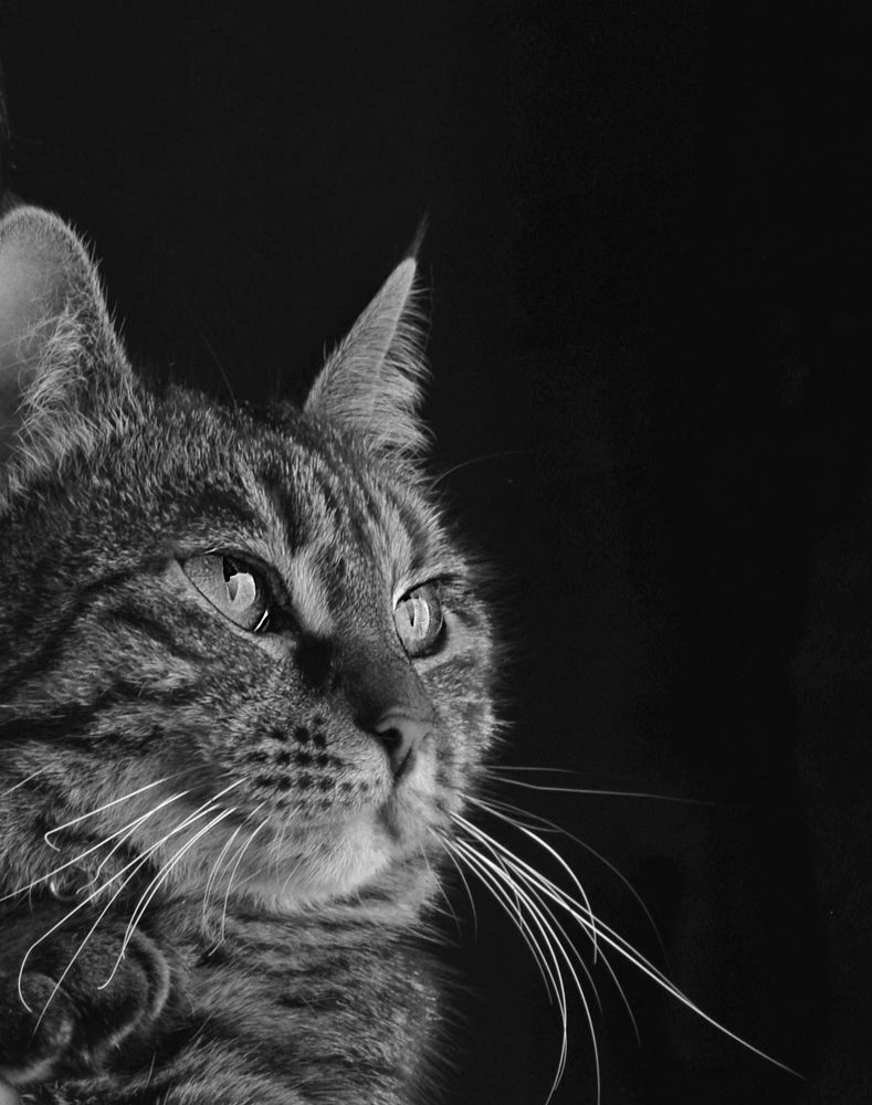 Фотография автора Виктория