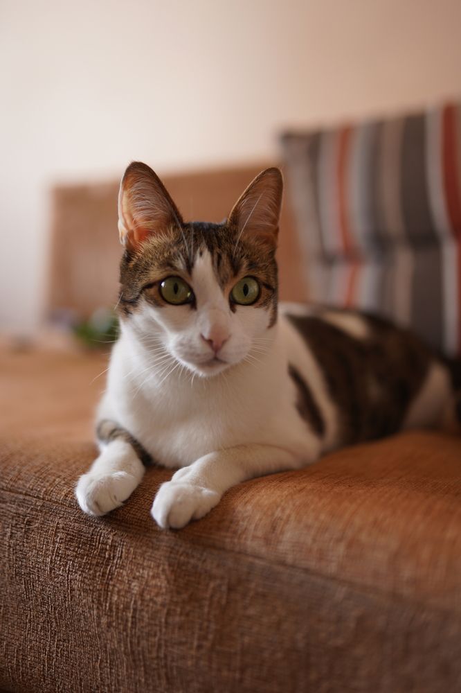 Photograph by Индира Кузнецова