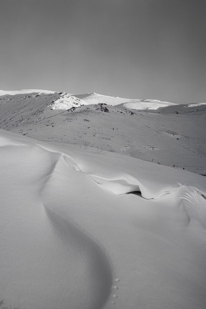 Photograph by Esmaeil ghorbani