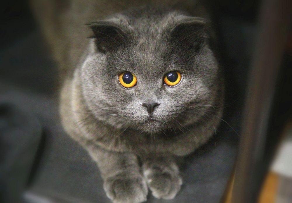 Photograph by Игорь Паутов