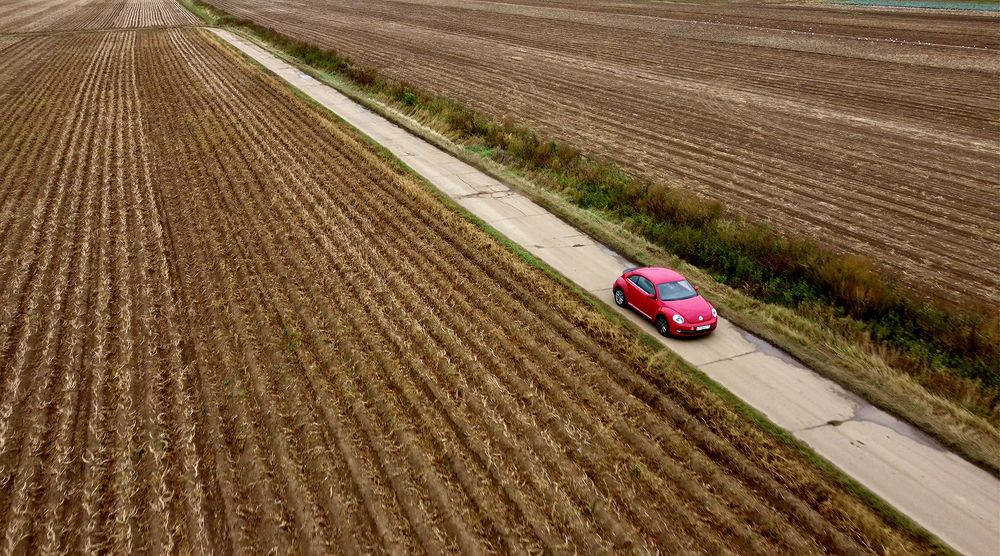 Photograph by Михаил Копанс