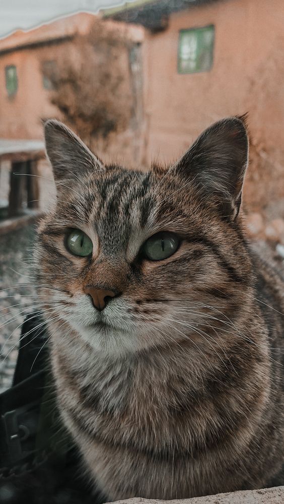 Photograph by Esmaeil ghorbani