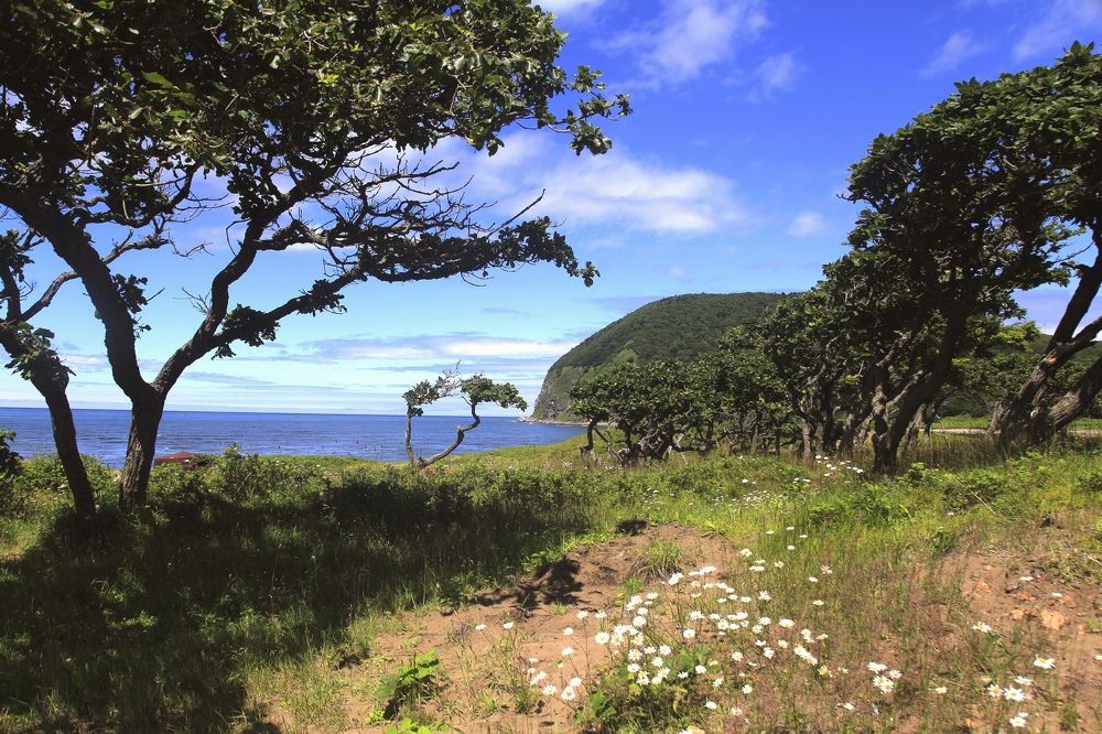 Photograph by Игорь Паутов