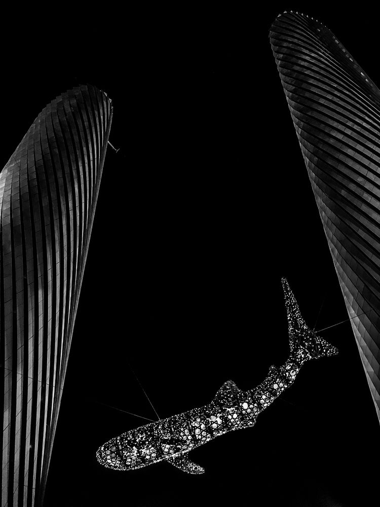 Photograph by shabu joseph