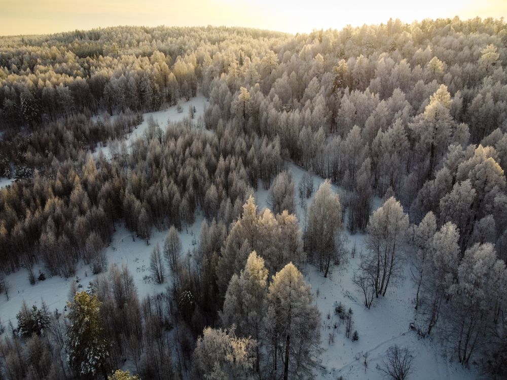 Photograph by Емельянов Алексей