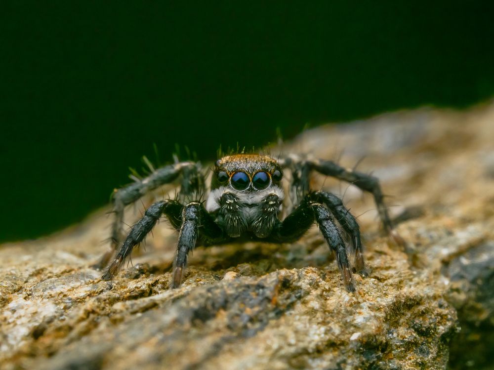 Photograph by Venkat Mangudi