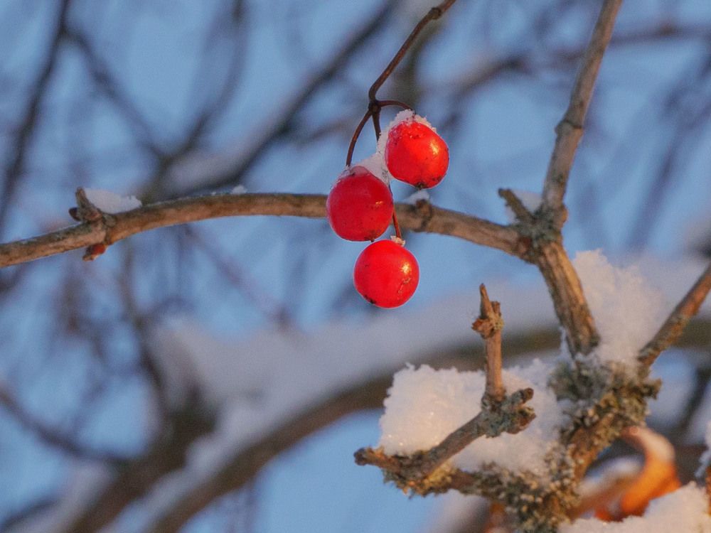 Photograph by Михаил Шохин