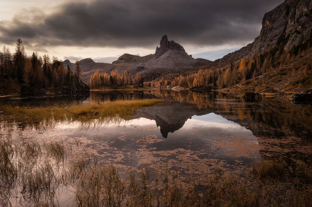 Photograph by Marco Toffaletti