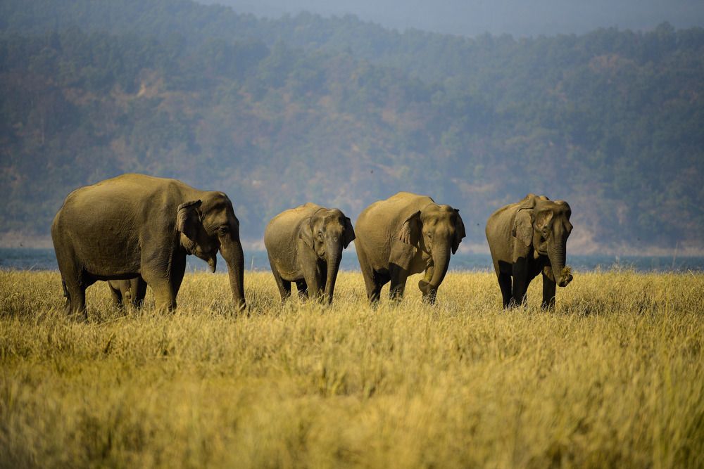 Photograph by ATUL MOHAN