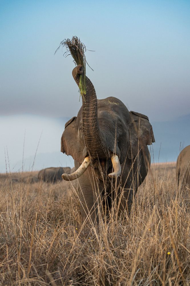 Photograph by ATUL MOHAN