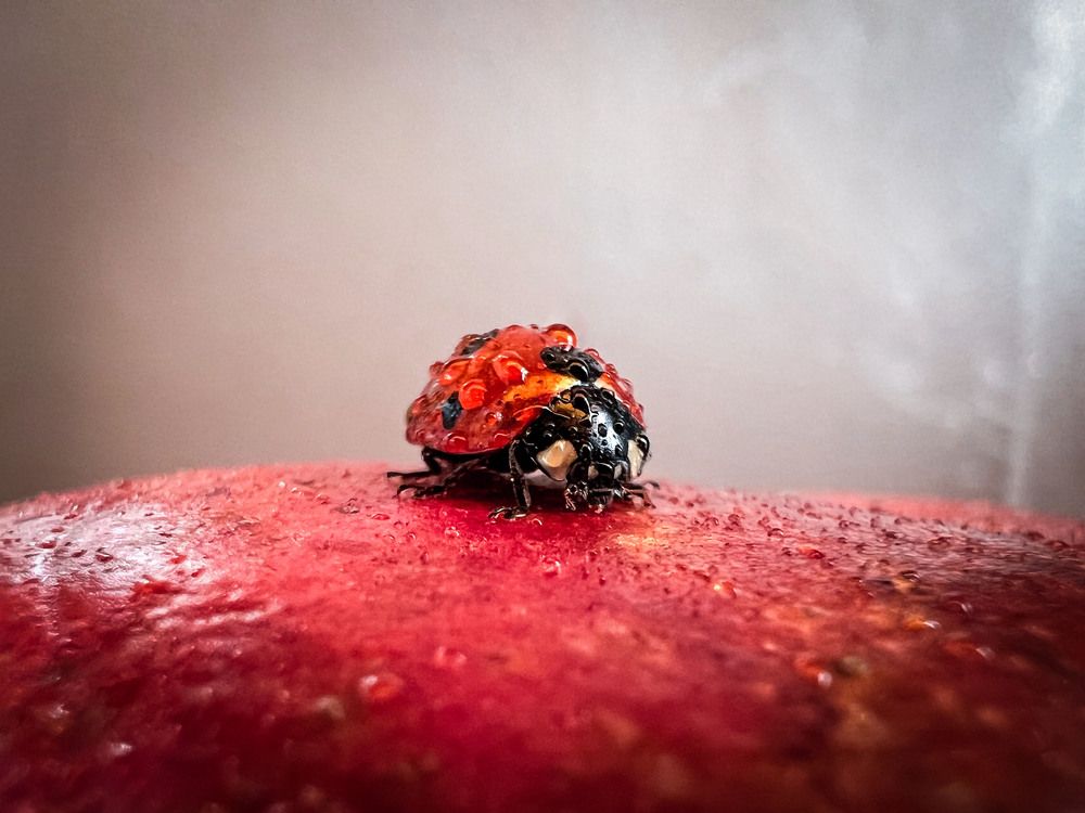 Photograph by Дамир Давронов