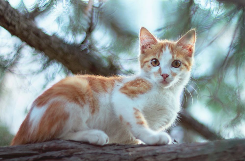 Photograph by SHE (Aiya) Таня