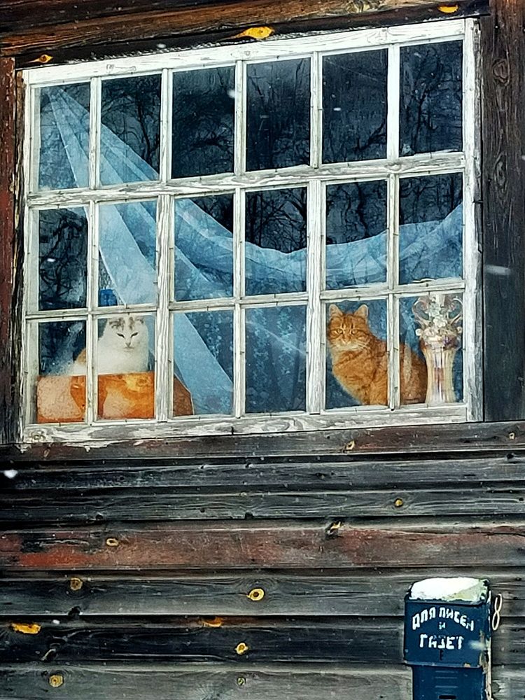 Photograph by Мария Воронцова