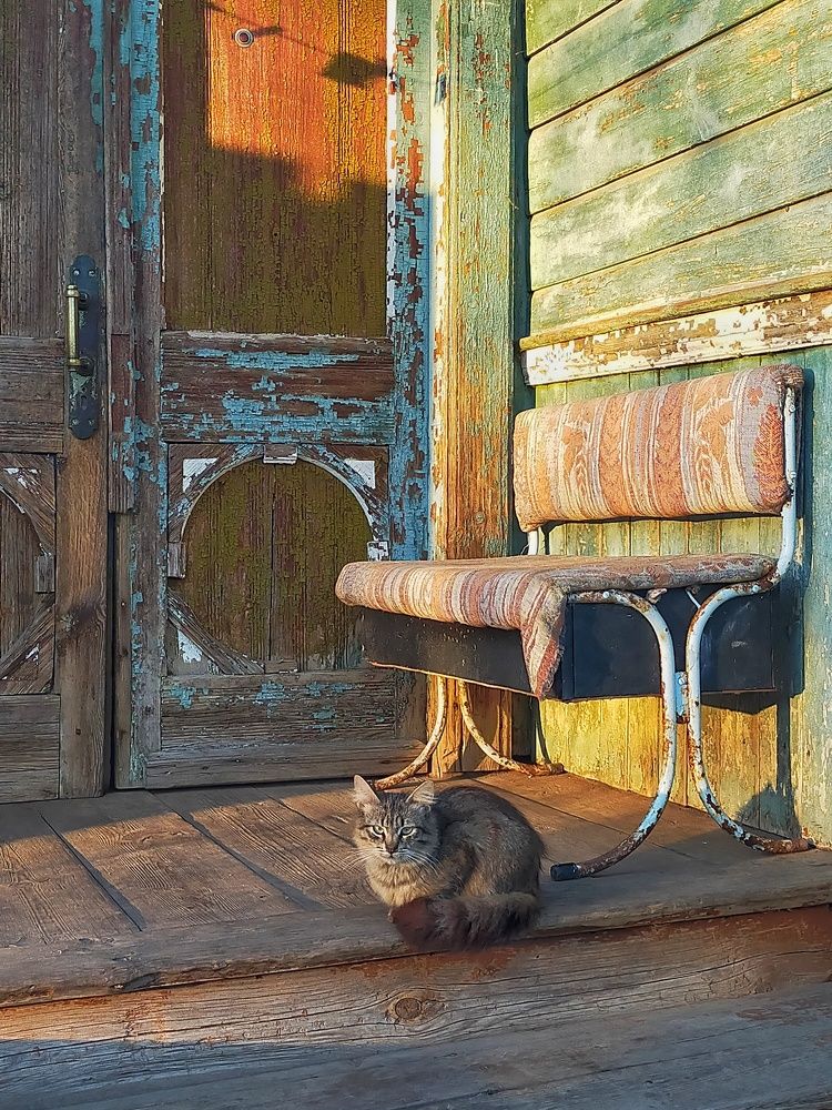 Photograph by Мария Воронцова