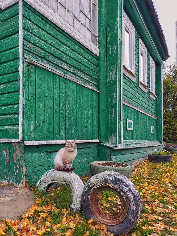 Photograph by Мария Воронцова