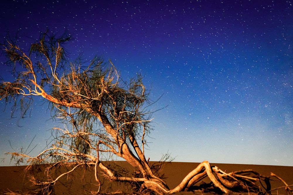 Photograph by Javad zavvar