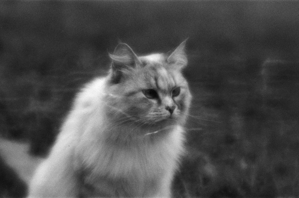 Фотография автора Иван Домарацкий