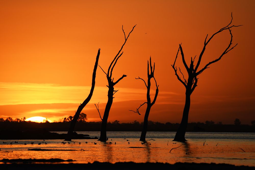 Photograph by SI SABER LOTFI