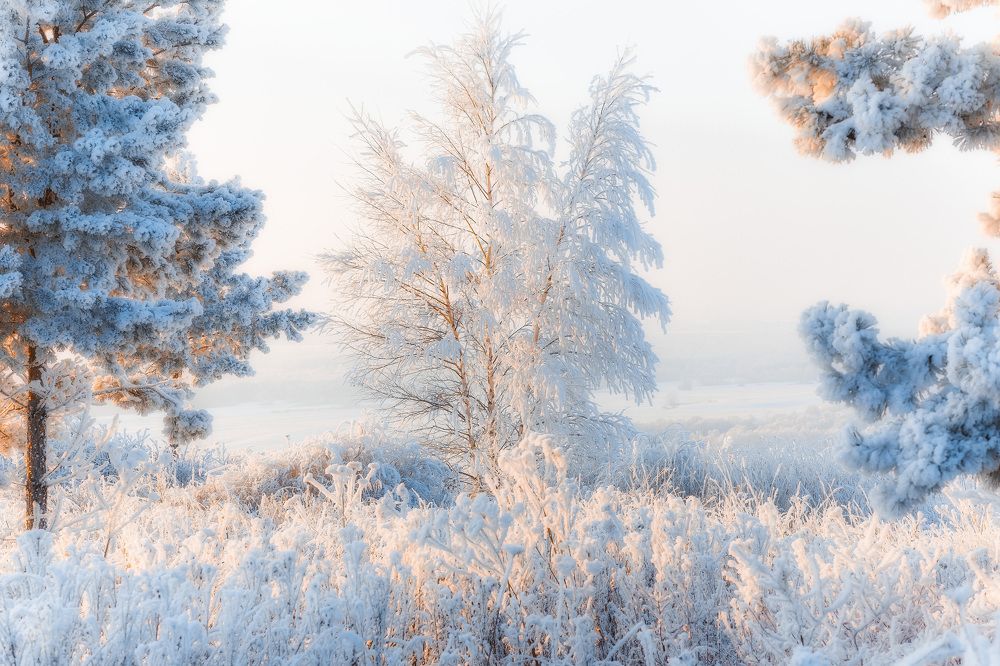 Photograph by Никитин Алексей