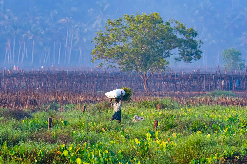 Photograph by Mahesh Krishna