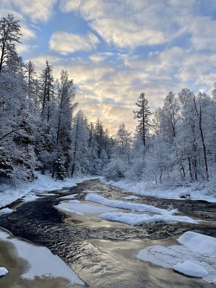 Серебро зимы