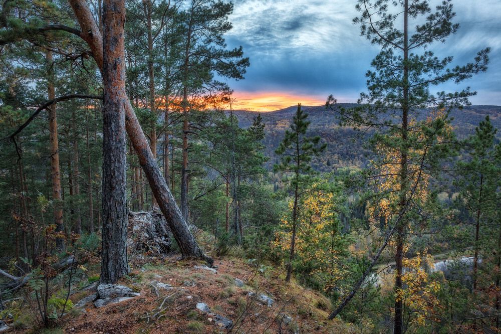 Photograph by Никитин Алексей