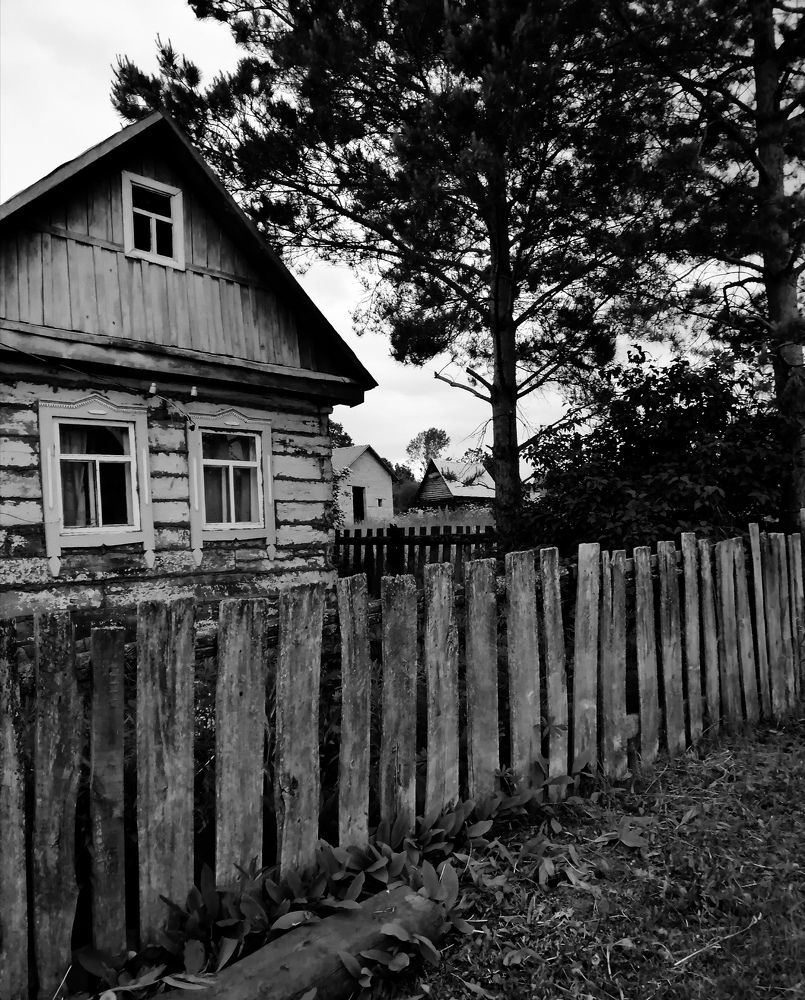 Photo #8853042