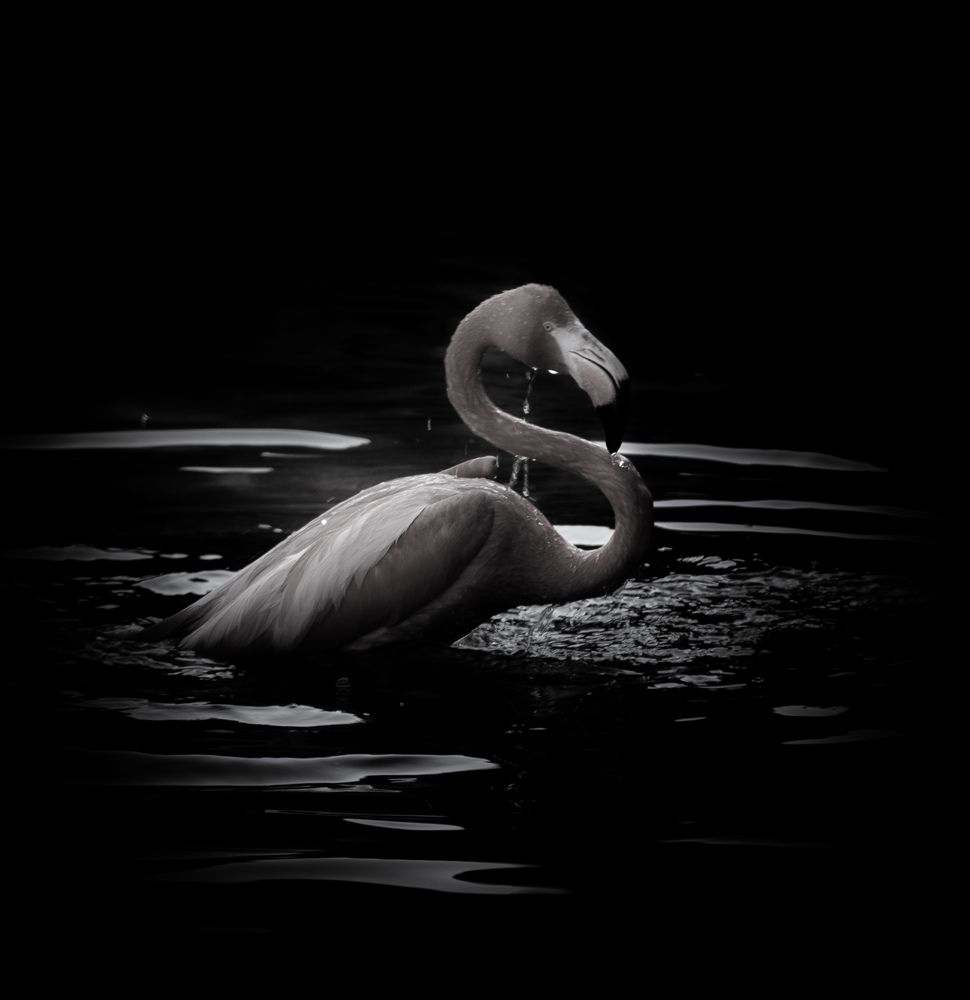 Photograph by Silvina Sánchez