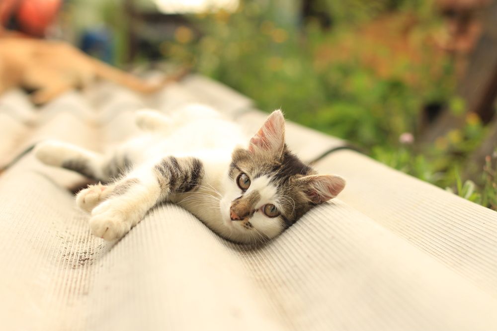 Photograph by Mila Milyutina