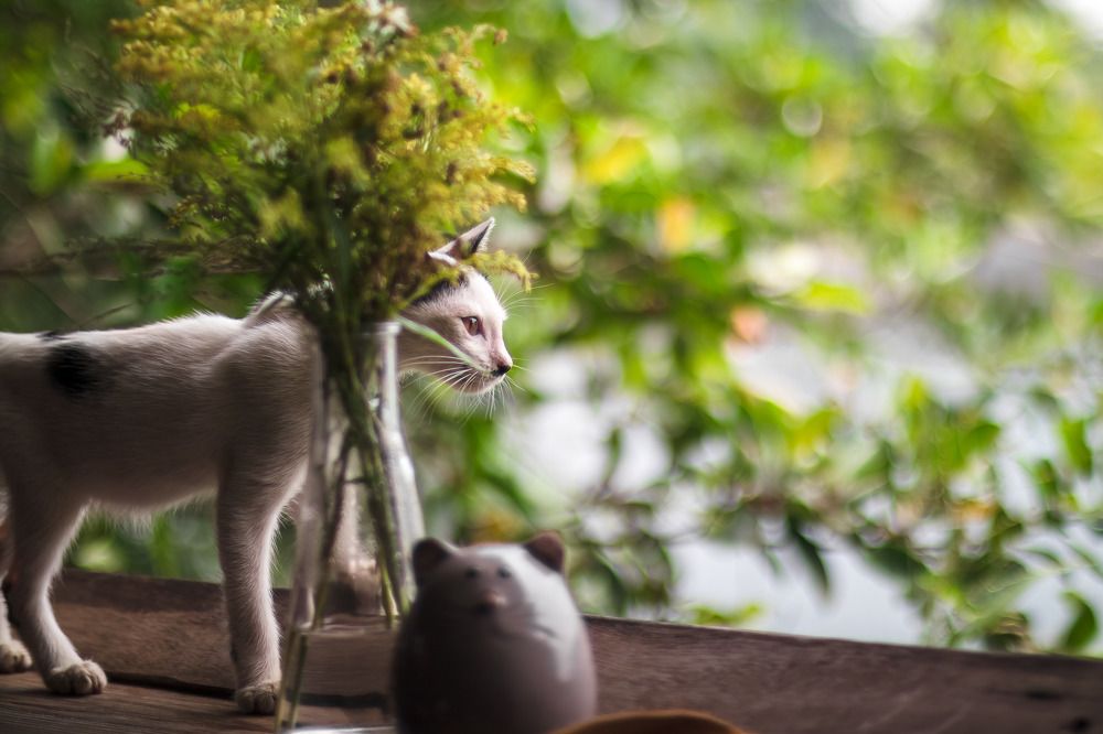 Фотография автора Andy Nguyen