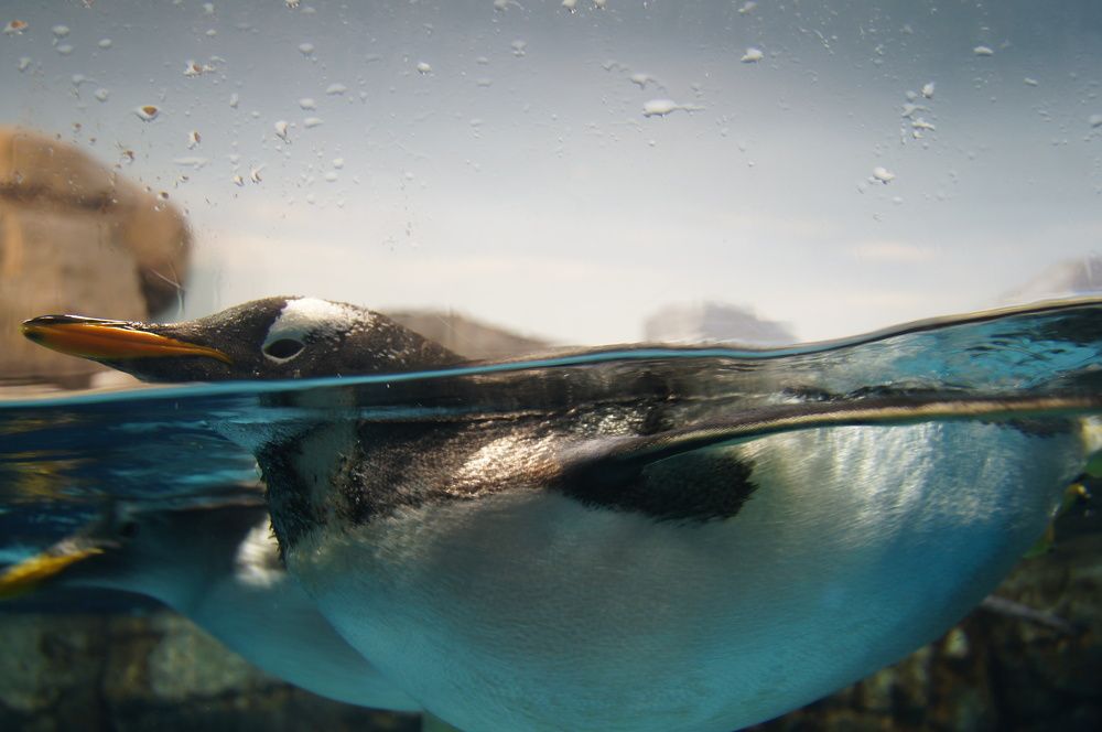 Photograph by София